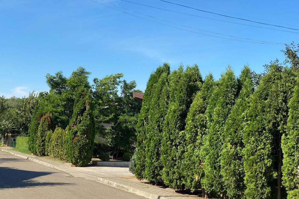 La Tuya Deluxe Villa Ιάσιο Εξωτερικό φωτογραφία