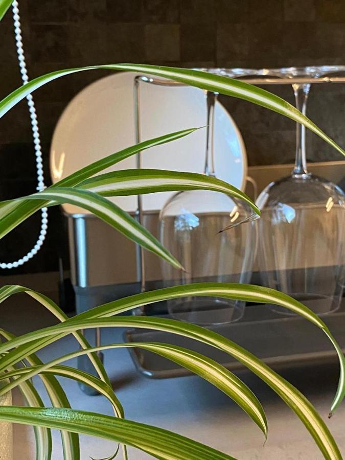 La Tuya Deluxe Villa Ιάσιο Εξωτερικό φωτογραφία